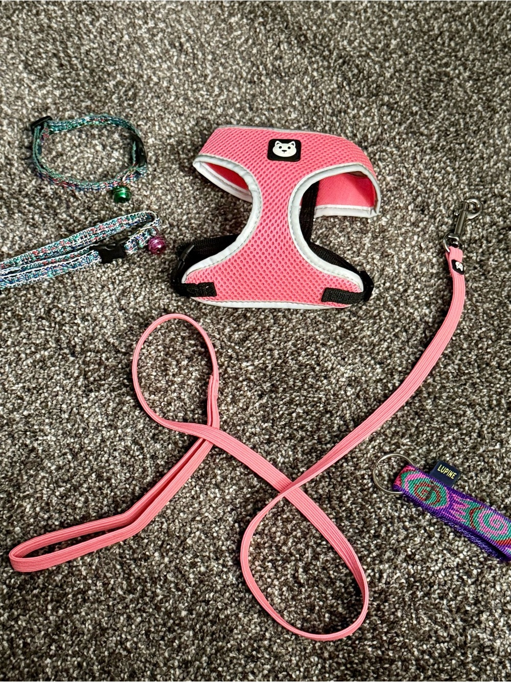 Kitty Collar, Harness & Leash Set